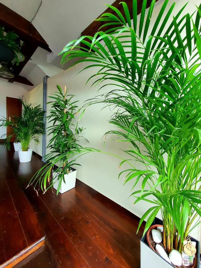 Suite Loft Zabierzow Экстерьер фото
